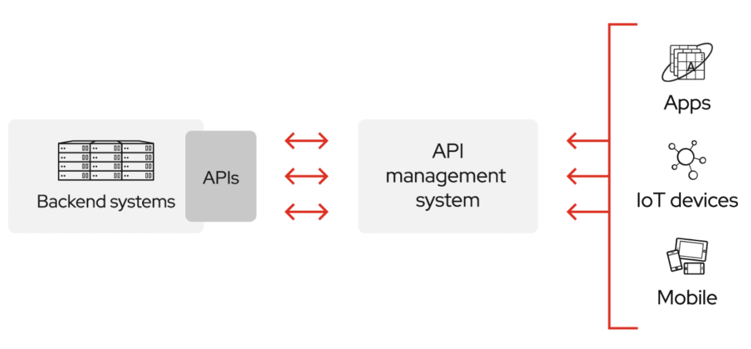 How APIs work with databases.