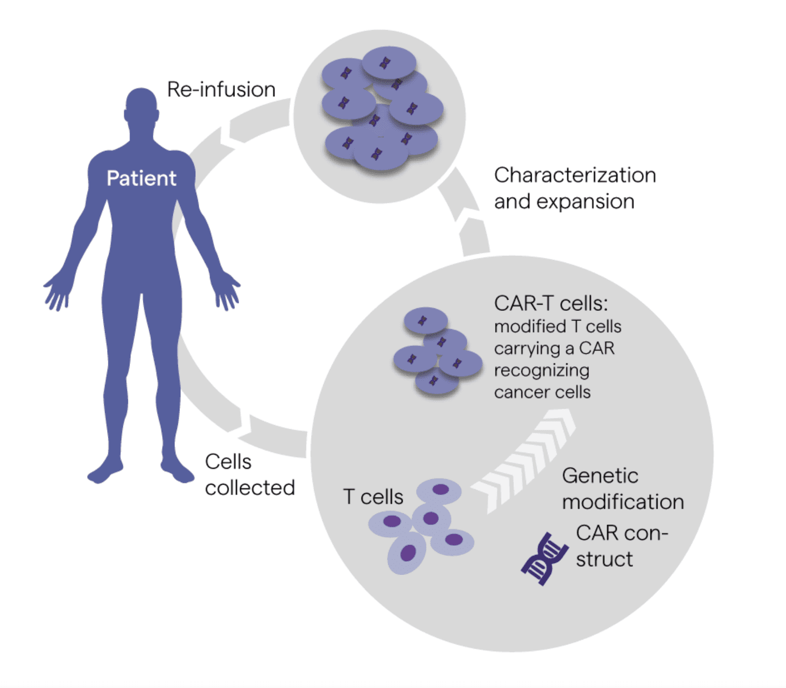 Gene modification through cell and gene therapy.