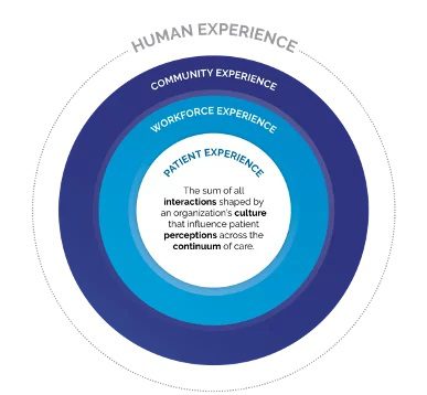 Circular graphic demonstrating the holistic nature of the patient experience